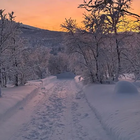 Private At Camp Oinas ホームステイ *